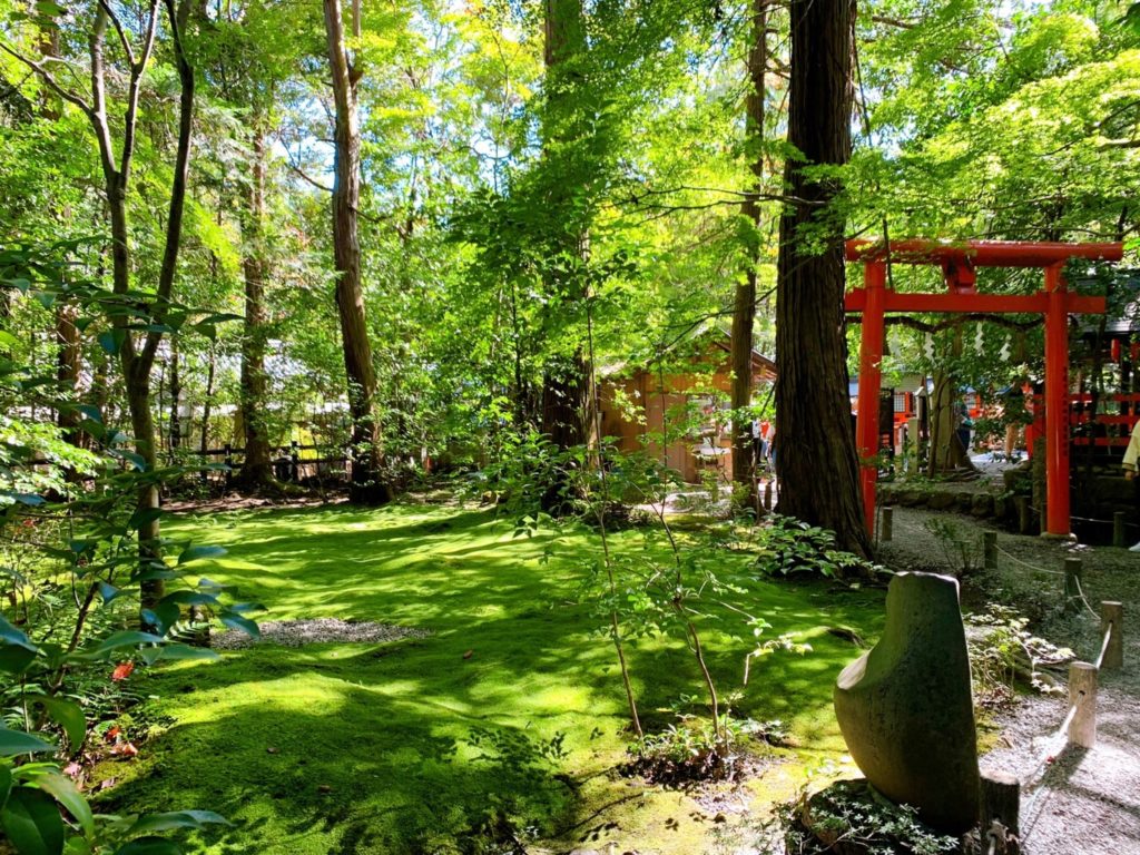 野宮神社　野宮じゅうたん苔
